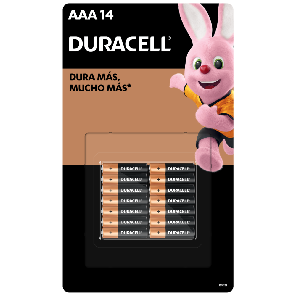 Pilas Duracell América Latina  La empresa de baterías de consumo número 1  del mundo